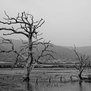 Porlock (Somerset)