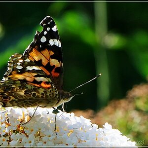 Image00001