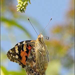 Image00004