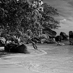 Similan Island #4 (Koh Miang, Thailand)