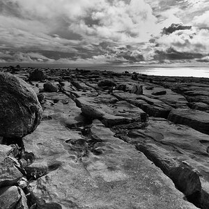 stone dead 1