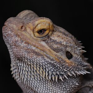 DSC 4645