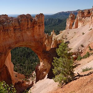 Bryce Canyon   5