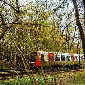 TZ_DSC02721_A.jpg