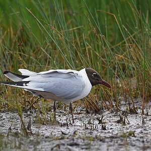 811_5747at5l10fks70p1.jpg