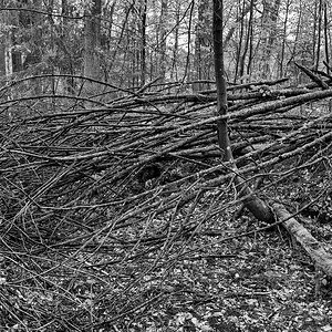 Worzeldorf-05sw.jpg