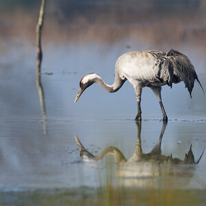 DSC_4256_dxo-1.jpg