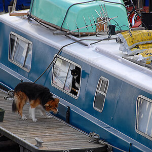 DSC_0193.jpg