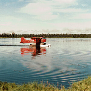 brumm.y.a.ff.1.jpg