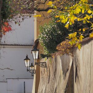 PA301359o.JPG