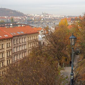PB011454n.JPG