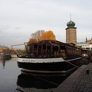 PB011481o.JPG