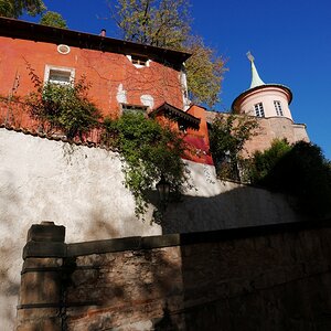P1030238n.JPG