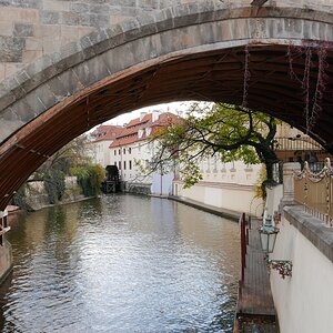P1030333n.JPG