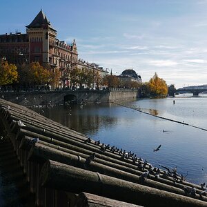 P1030539n.JPG