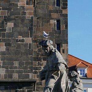 P1030550n.JPG