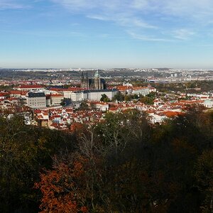 P1030581n.JPG