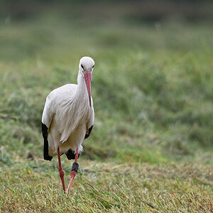 811_5803at5l5fks70p1.jpg