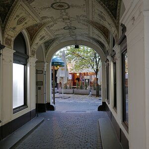 P1030107n.JPG