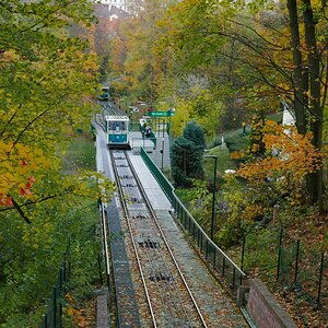 P1030590n1.JPG