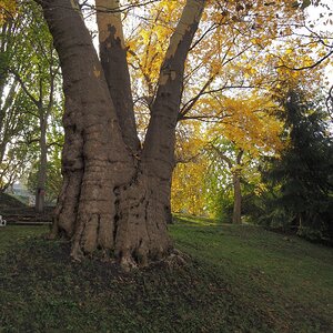 PB011394n.JPG