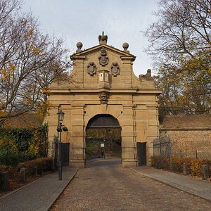 PB011433n1.JPG
