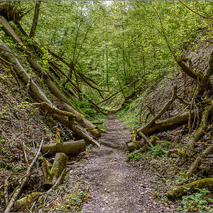 D75_3270.jpg