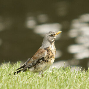 _DSC9024NF.jpg