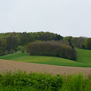 811_7307t5l10fks60p1.jpg