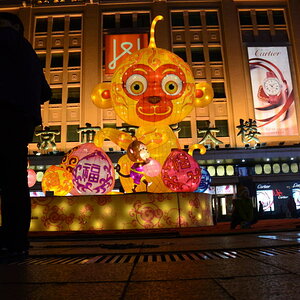 DSC_7536_01.JPG