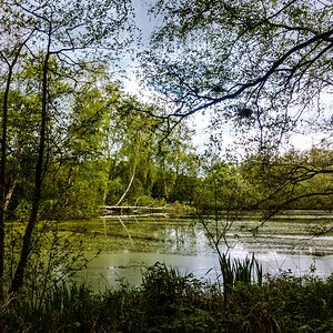 TZ_DSC02792_A.jpg