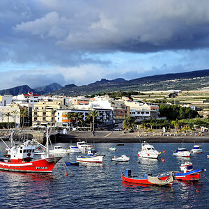 DSC_4416.jpg