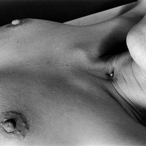 D85_5462.JPG