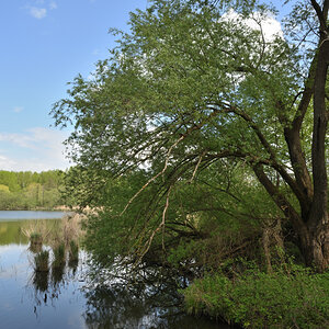 DSC_6388.JPG