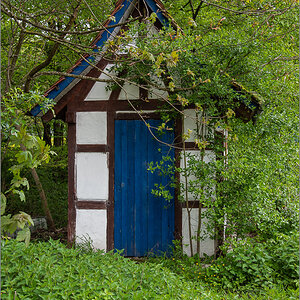 D75_3531.jpg