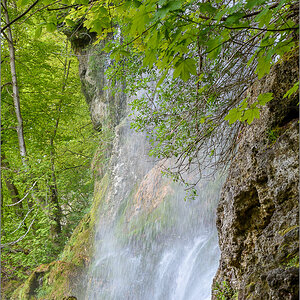D75_3483.jpg