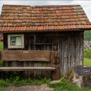 D75_3528.jpg