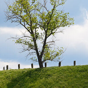 OF5_11192.jpg