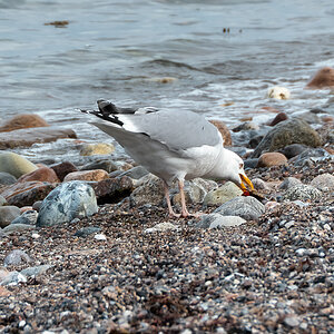 P1010396-Bearbeitet.jpg