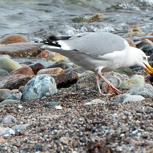 P1010397-Bearbeitet.jpg
