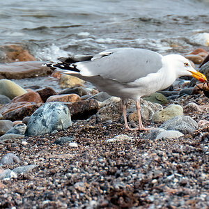 P1010400-Bearbeitet.jpg