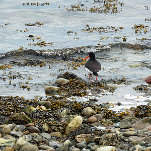P1010426-Bearbeitet.jpg