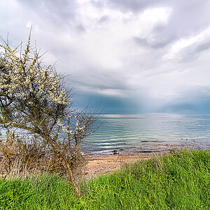DSC_0430-2.jpg