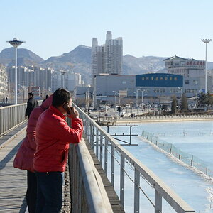 DSC_7380_01.JPG