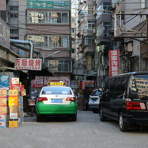 DSC_7384_01.JPG