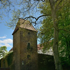 DSC_2745_00001 (2)n.jpg