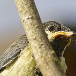 _DSC9200NF.jpg