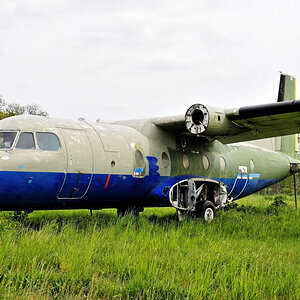 DSC_4946.jpg