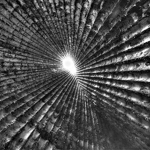 _DSC8802_4_6_Monochrom 2_klein.jpg