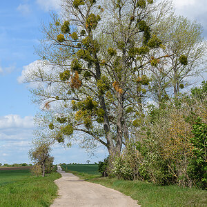 OF2_49397.jpg